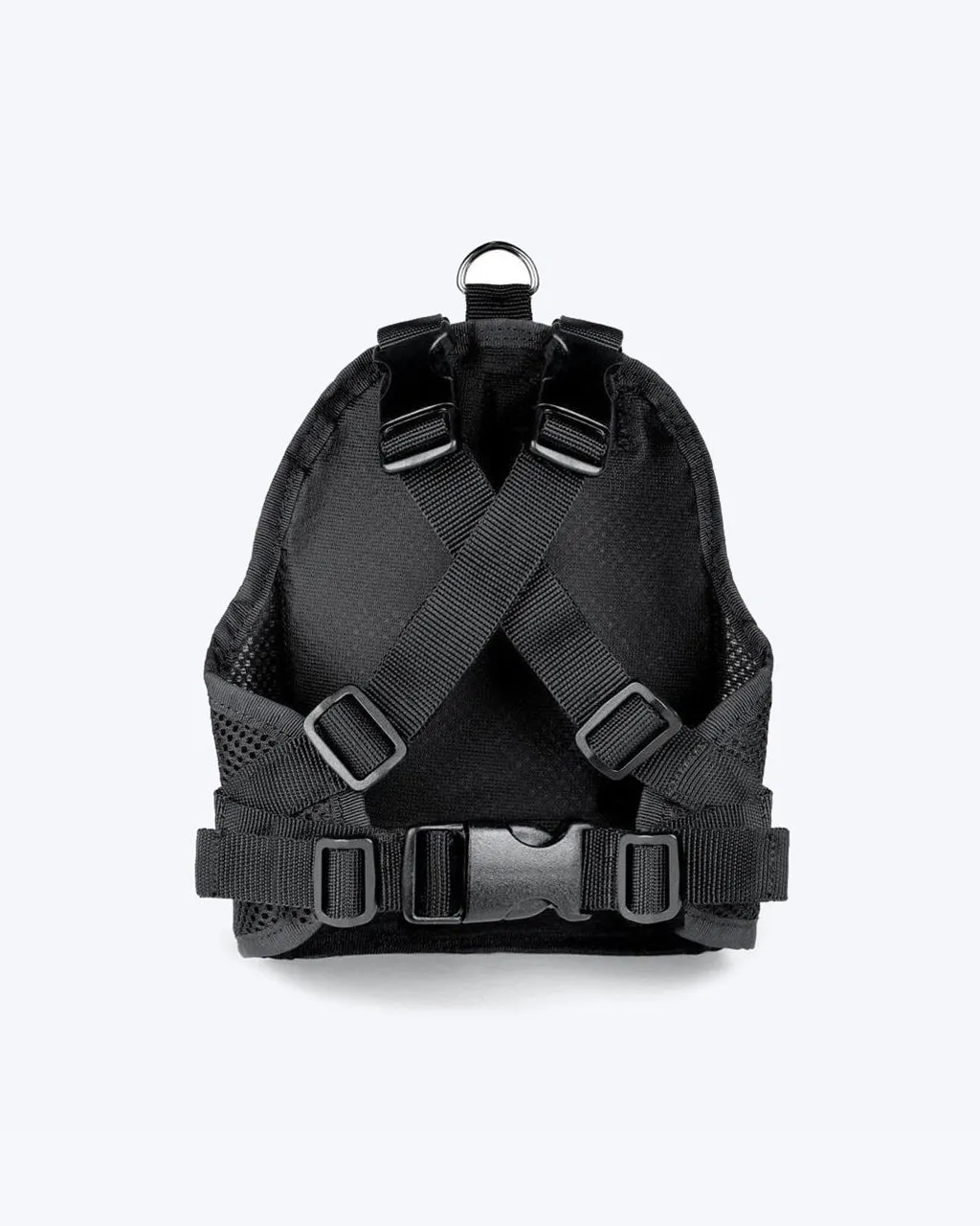 CHARLIE'S BACKPACK by Charlie's Backyard