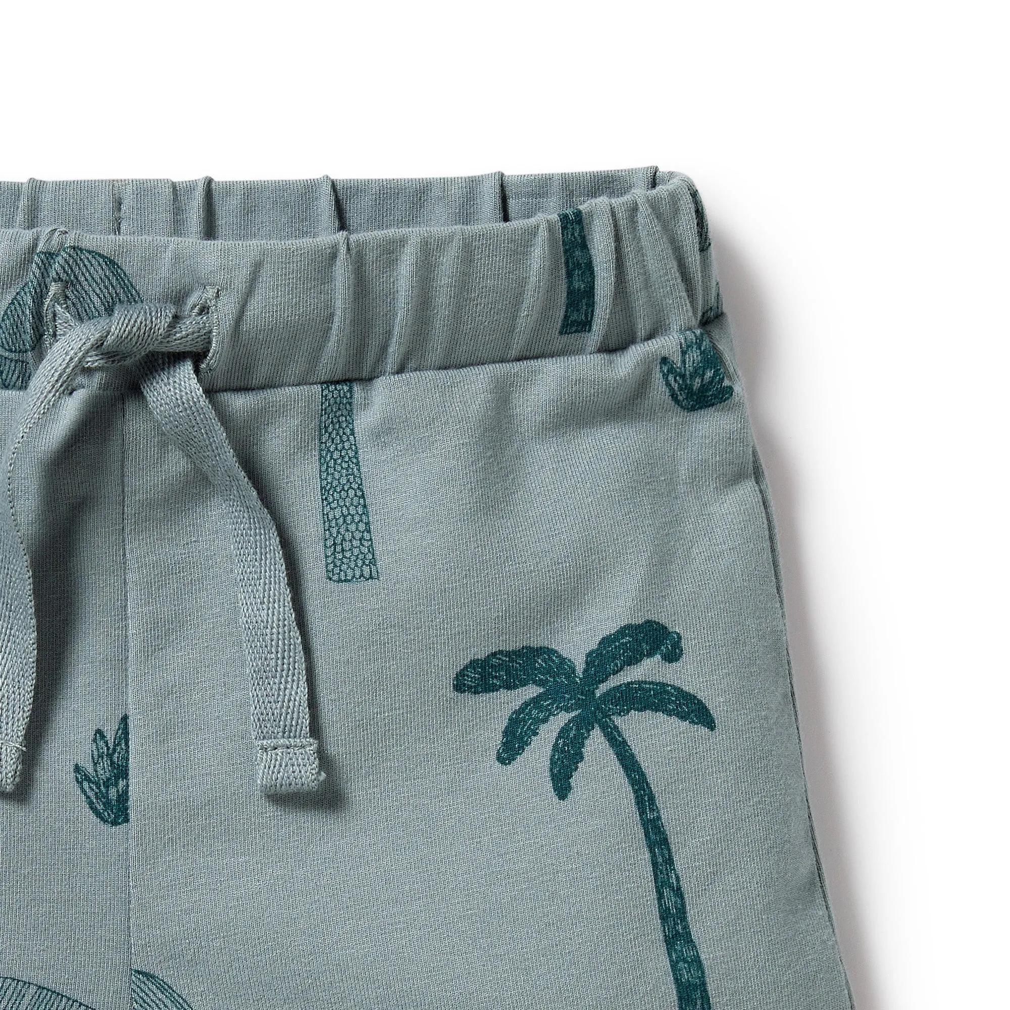 Short, Palm Days