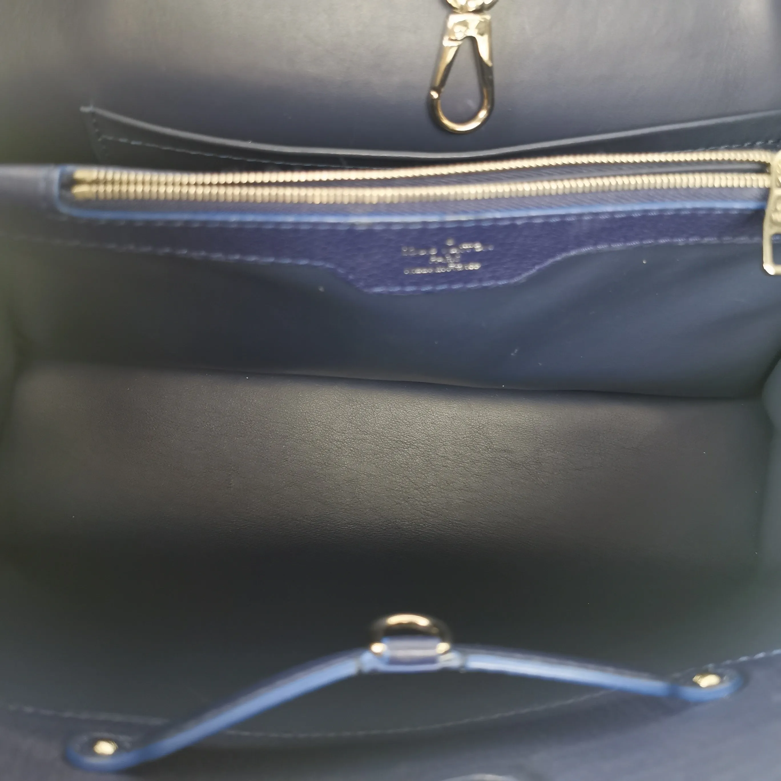 Trendy Inspired Louis Vuitton Capucines Mm Exotic Blue Taurillon
